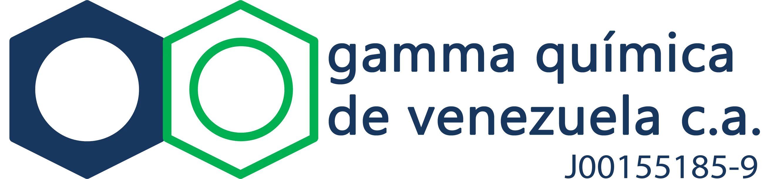 Gamma-Logo-con-rif.webp